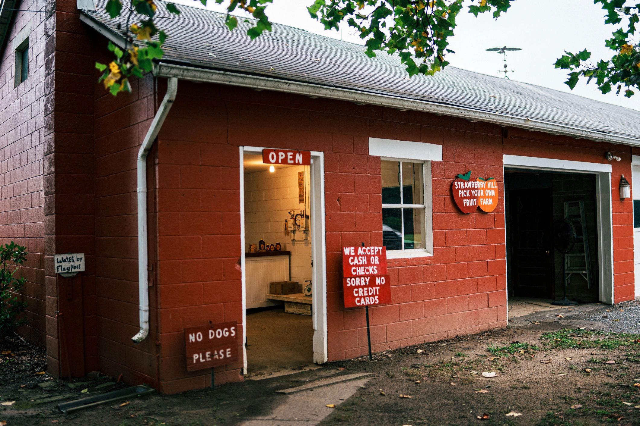 Smokey Beach storefront with beach-inspired decor